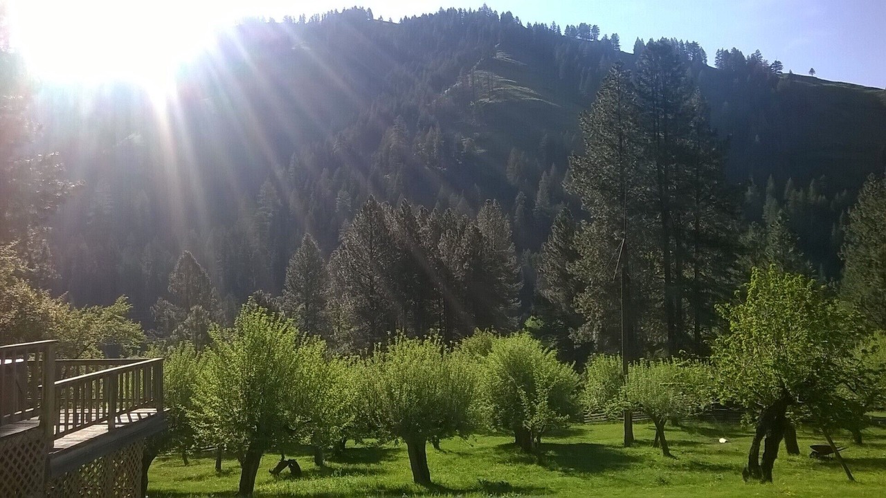 Photo of Others in Wallowa County