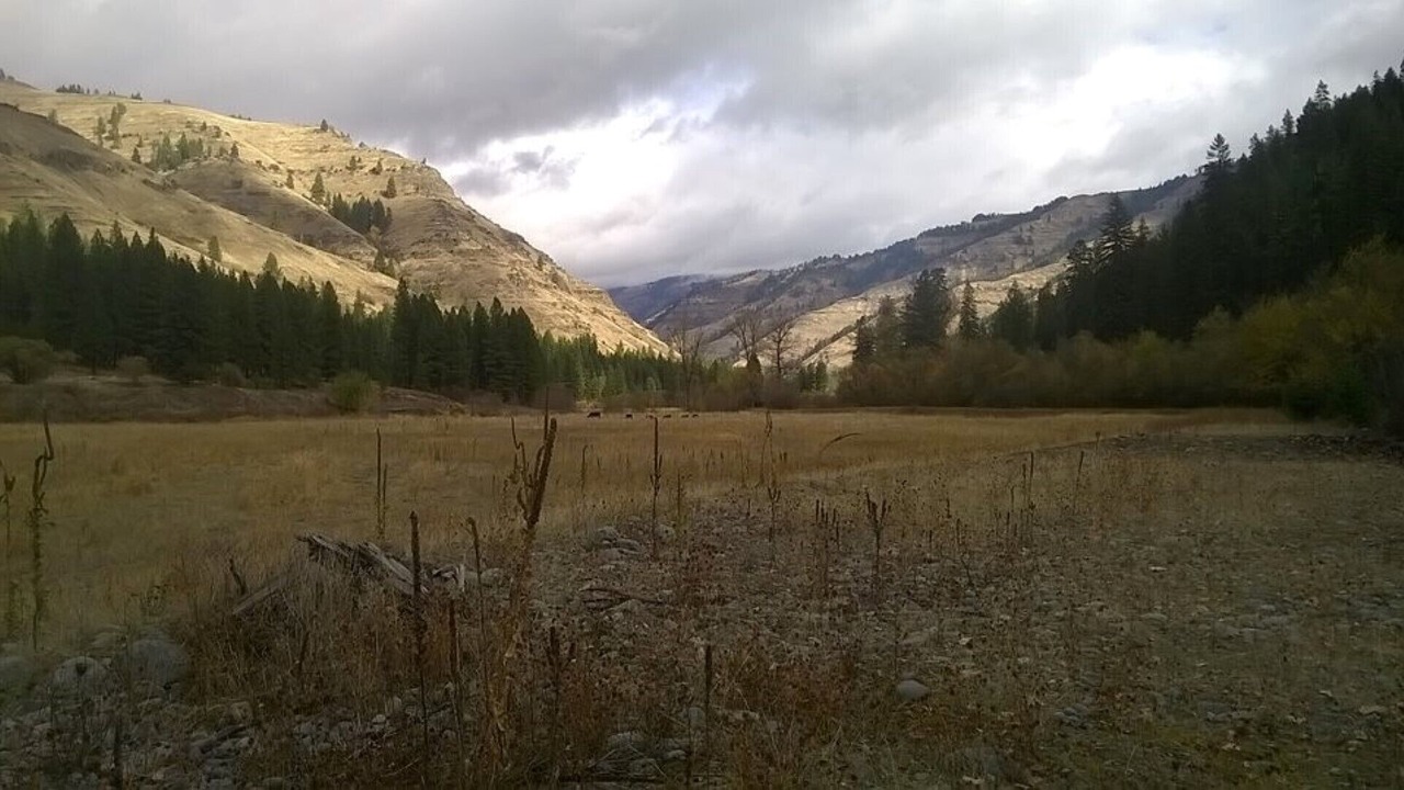 Photo of Others in Wallowa County