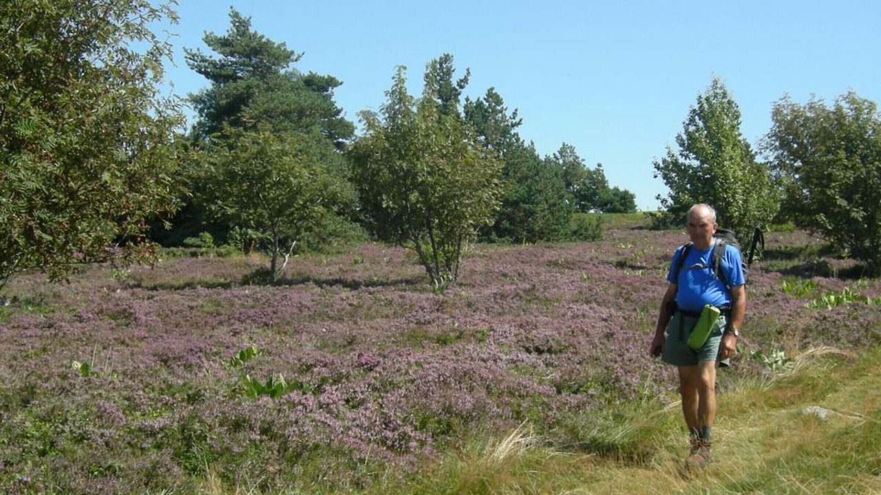 Photo of Others in Chalmazel-Jeansagniere