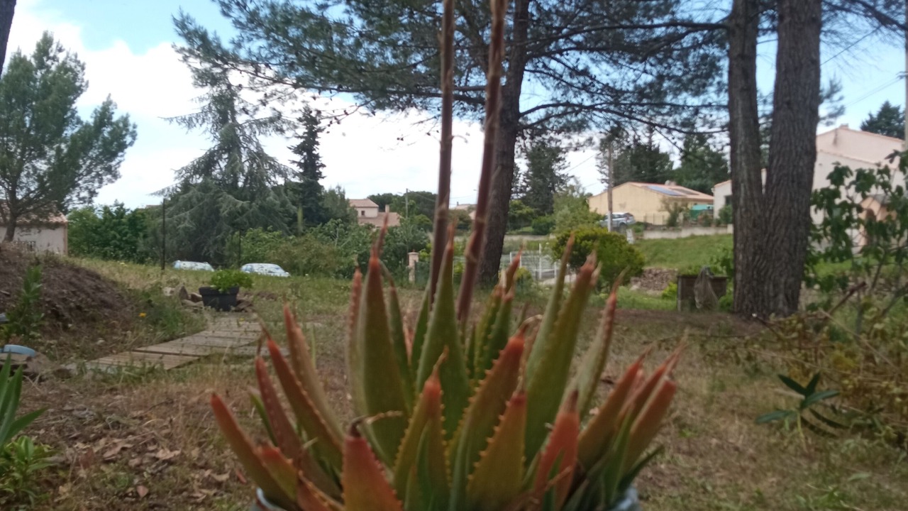 Photo of Outdoor in Caunes-Minervois
