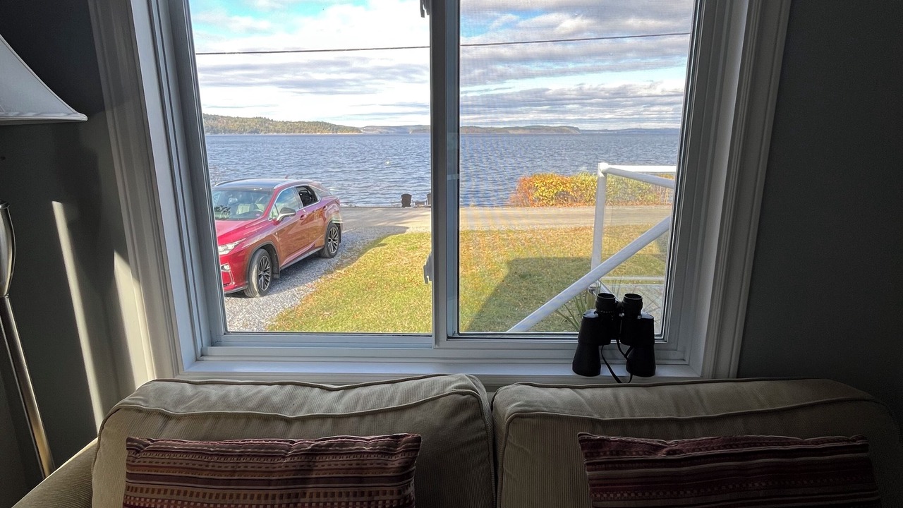 Photo of Livingroom in Saint John