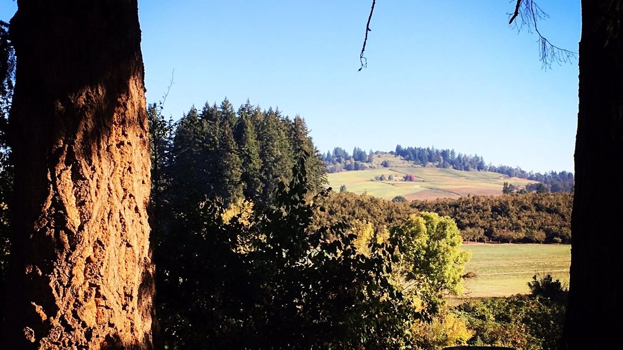 Photo of Others in Dayton