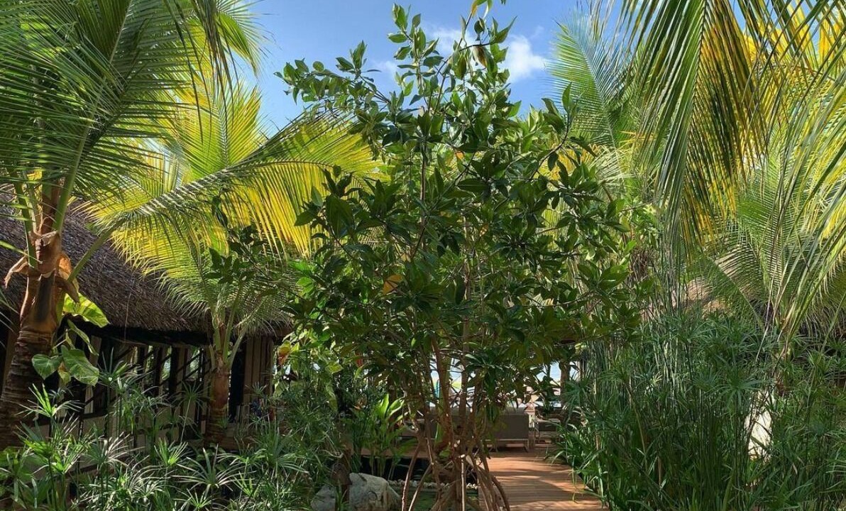 Photo of Patio Balcony in Barra de Colotepec