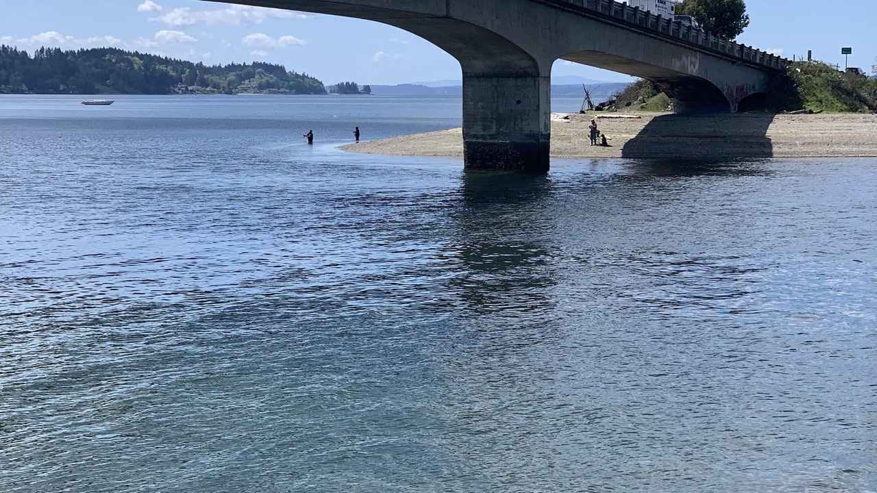 Photo of Others in Burley