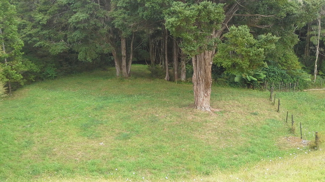 Photo of Others in Horeke