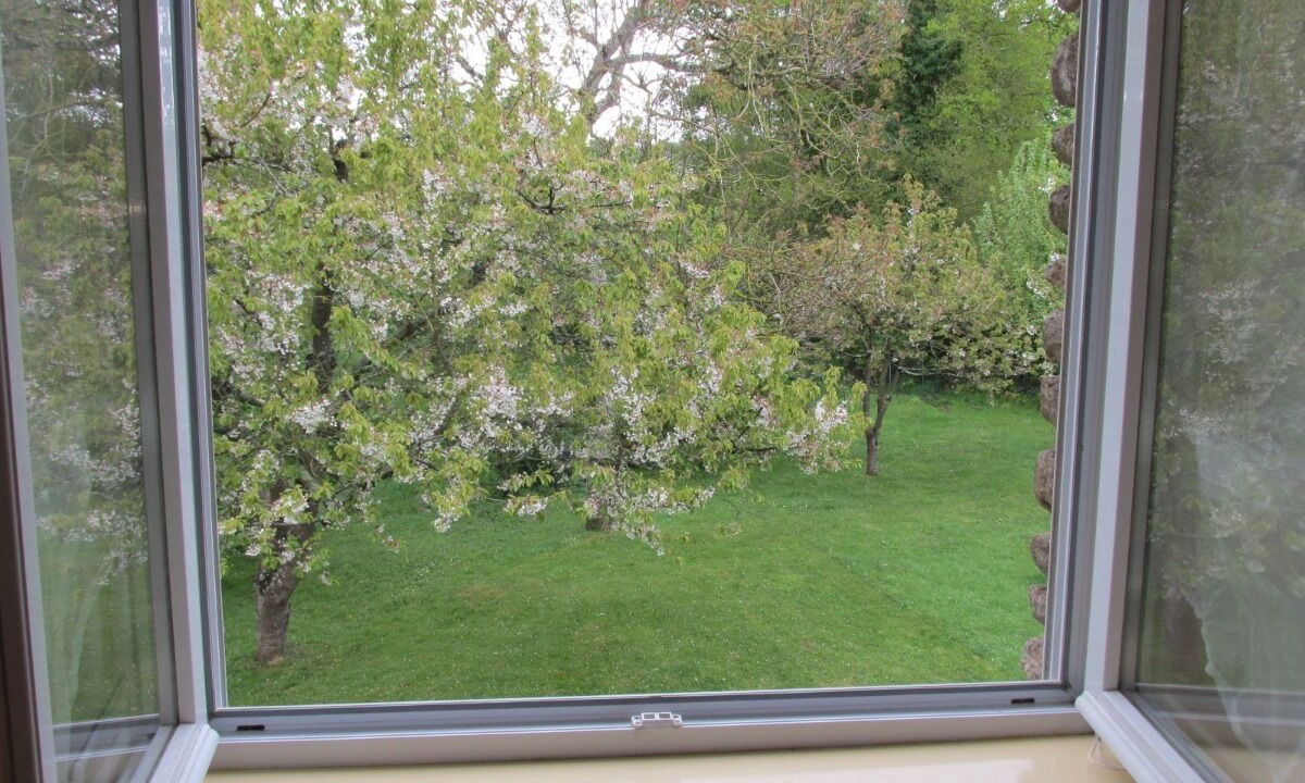 Photo of Others in Pleudihen-sur-Rance