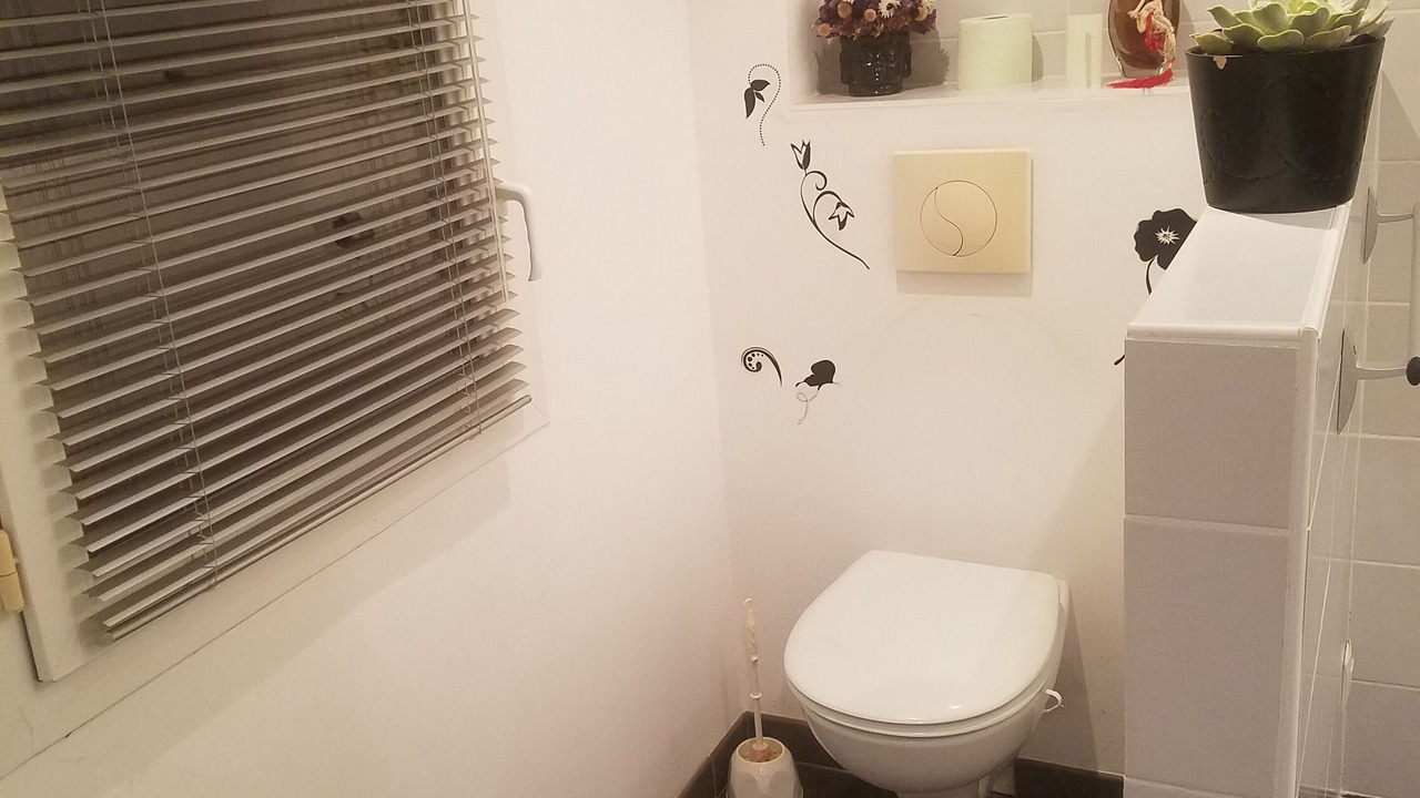 Photo of Bathroom in Lherm