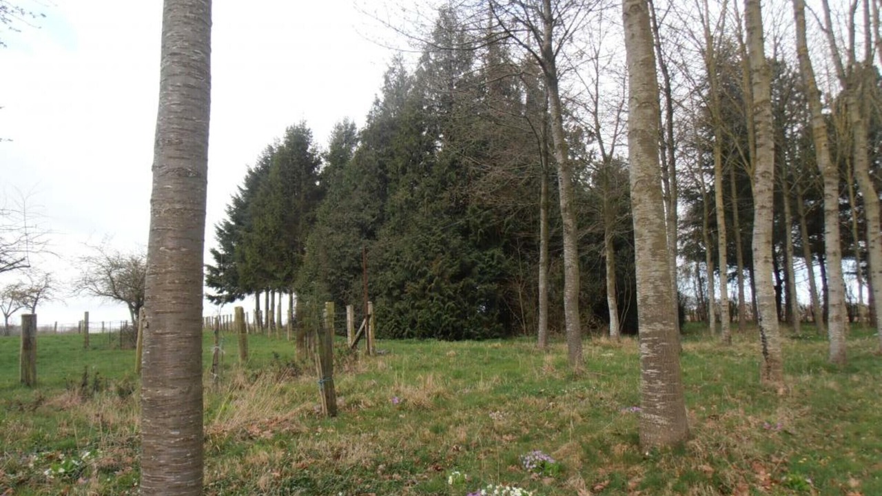 Photo of Outdoor in Saint-Pierre-la-Riviere