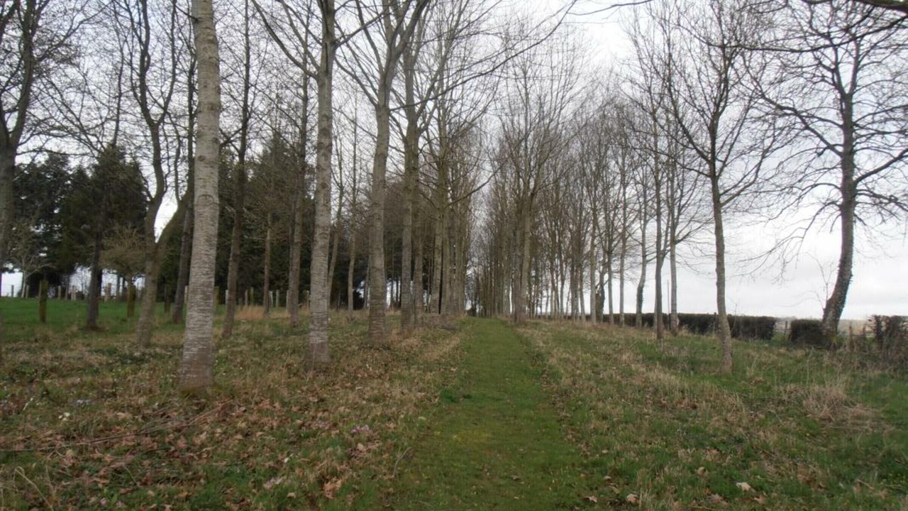 Photo of Outdoor in Saint-Pierre-la-Riviere