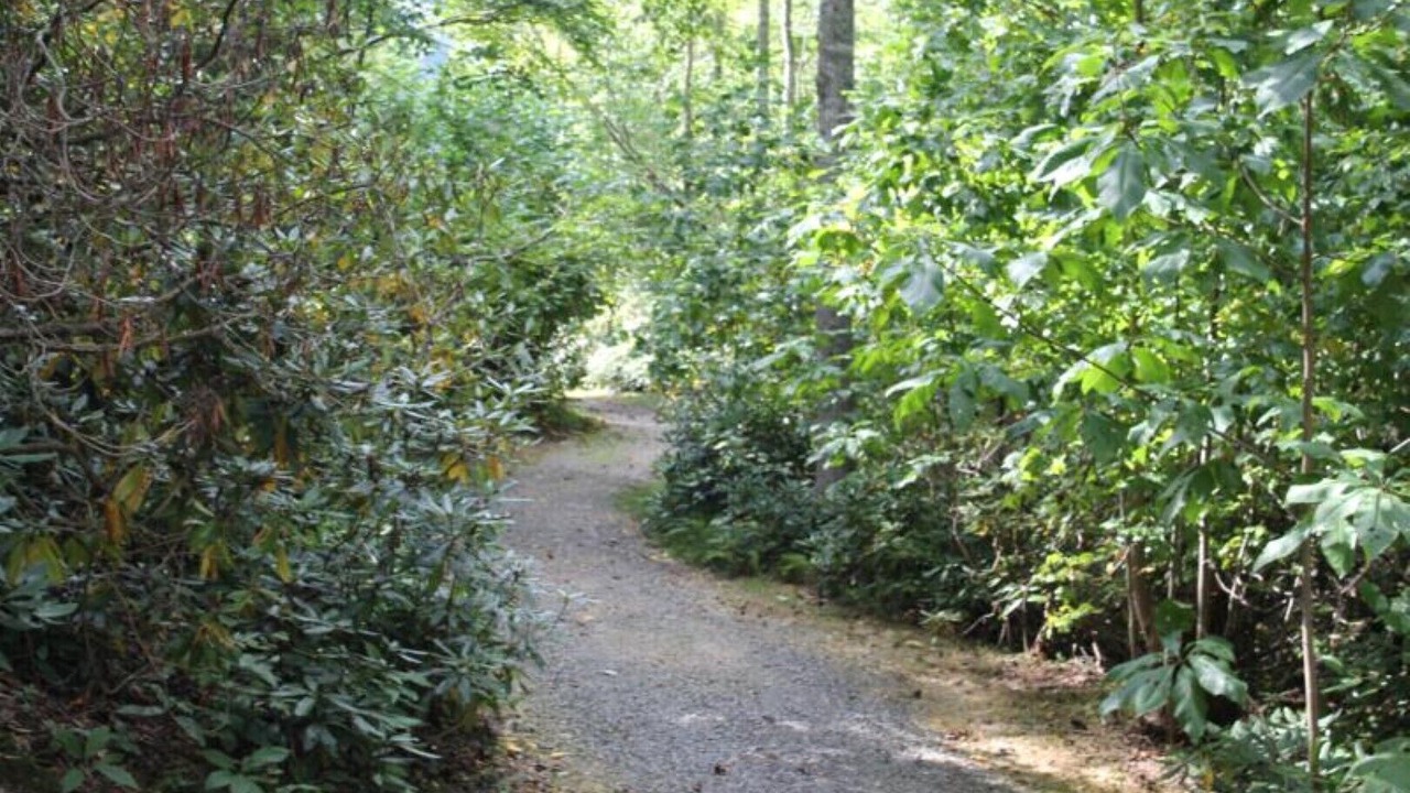Photo of Outdoor in Fancy Gap