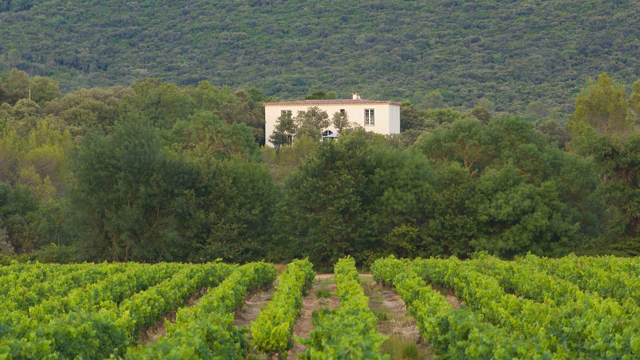 Photo of Outdoor in Vacquieres