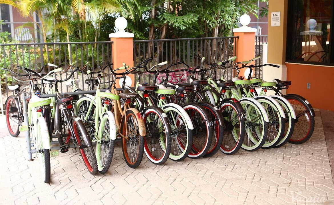 Photo of Outdoor in Florida Central Atlantic Coast