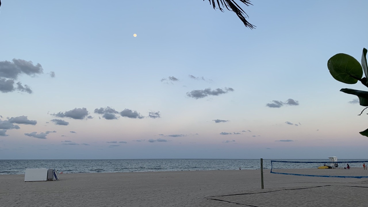 Photo of Others in Pompano Beach