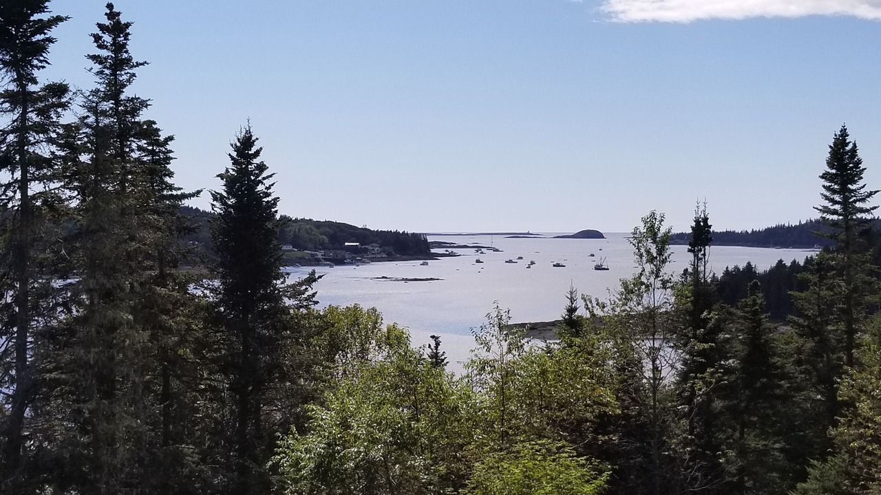 Photo of Others in South Addison