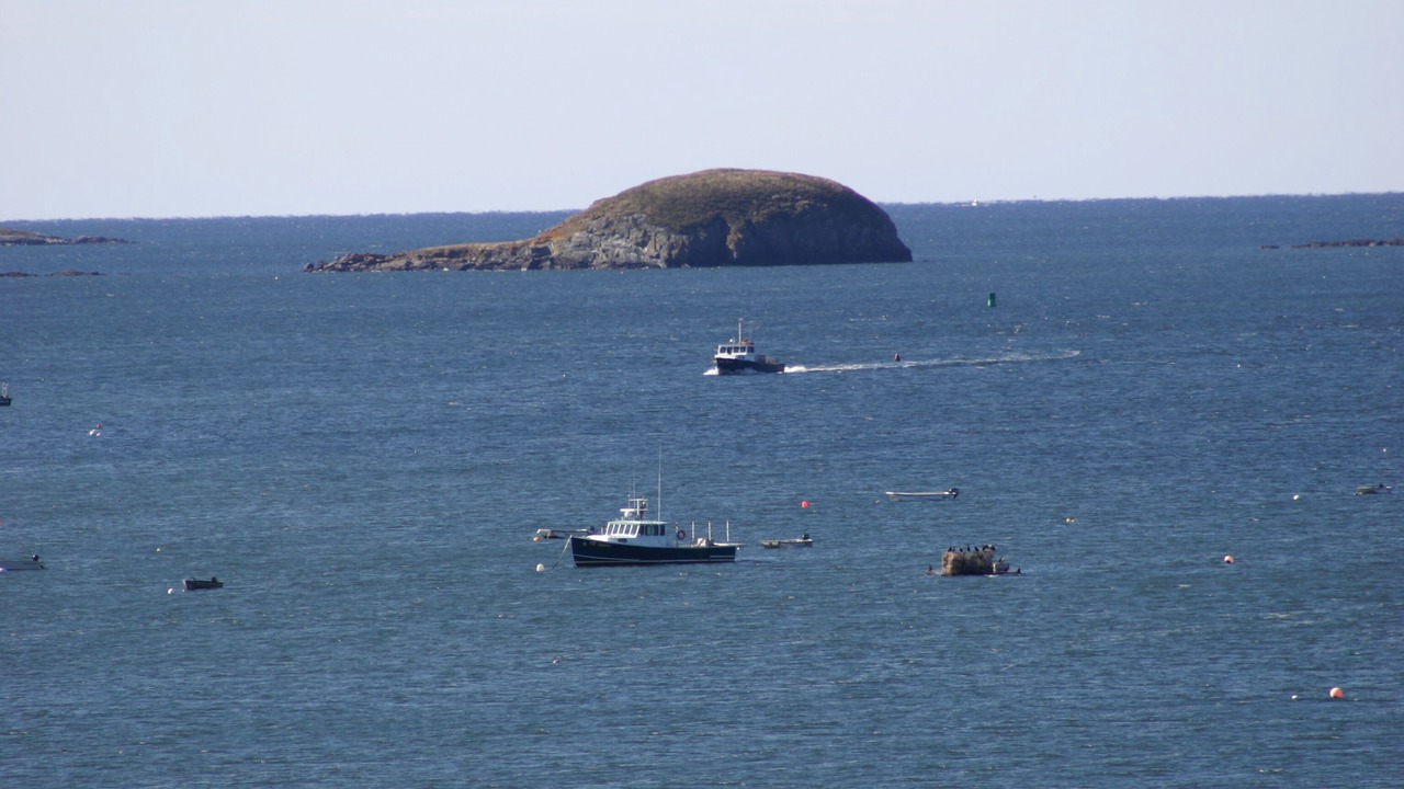 Photo of Others in South Addison