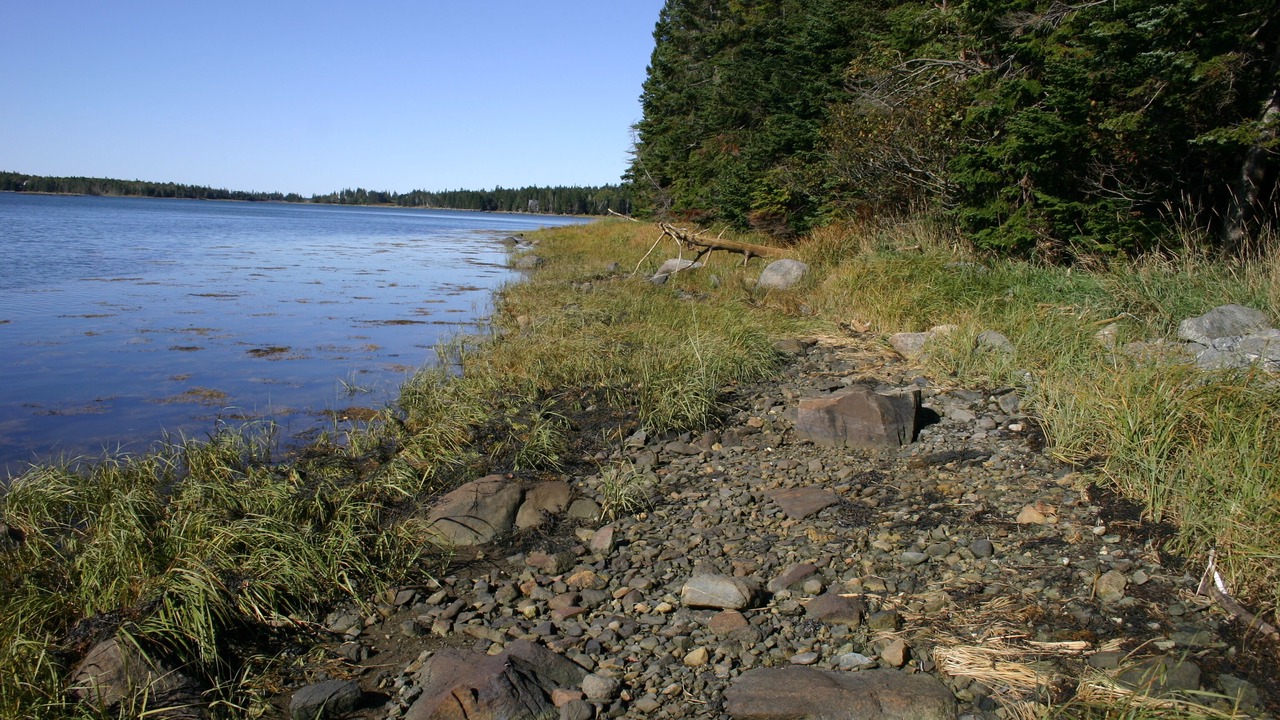 Photo of Others in South Addison