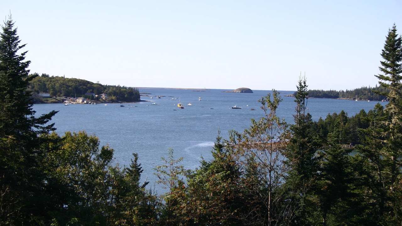 Photo of Others in South Addison