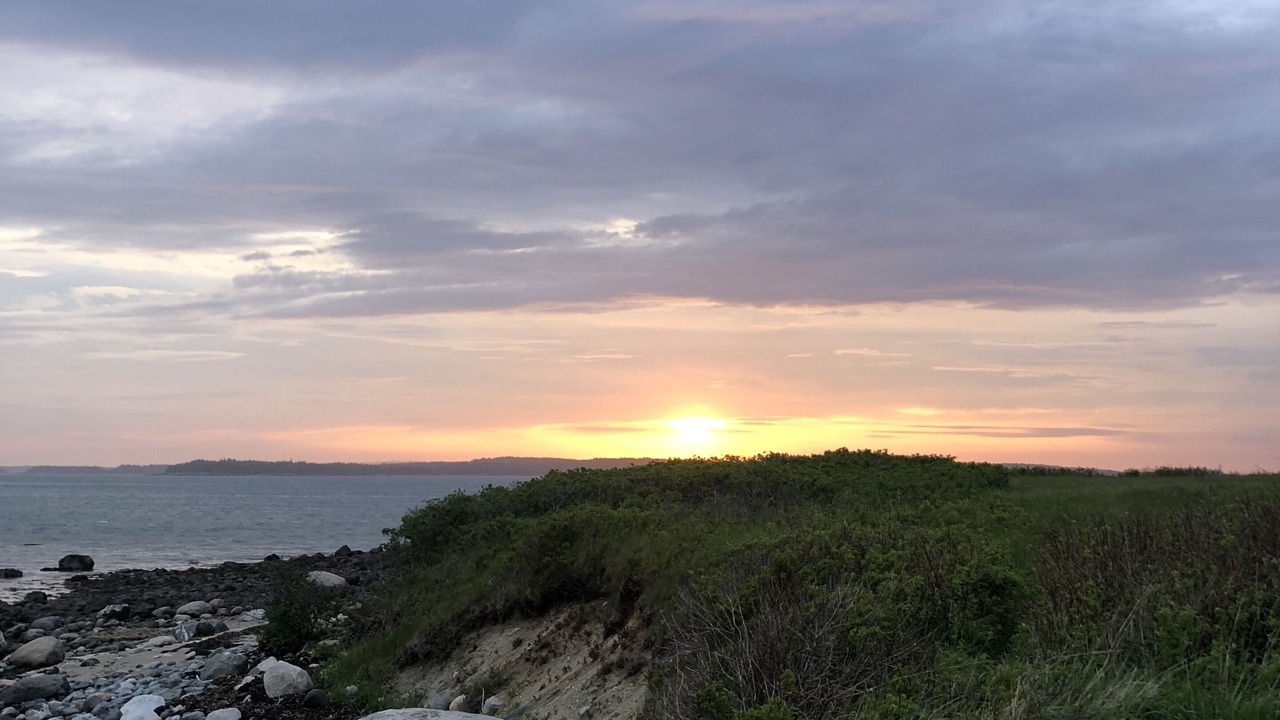 Photo of Others in South Addison