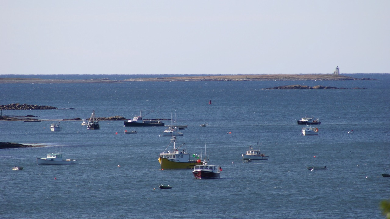 Photo of Others in South Addison