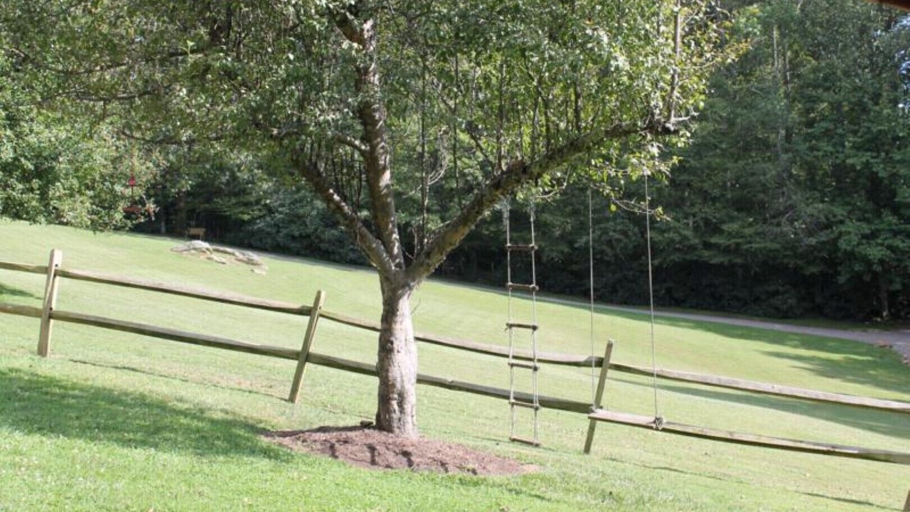 Photo of Outdoor in Fancy Gap