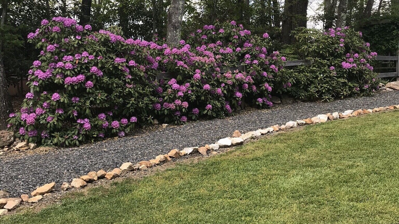 Photo of Outdoor in Fancy Gap