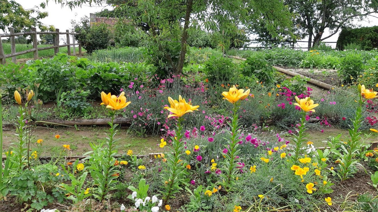 Photo of Outdoor in Saint-Bomer-les-Forges