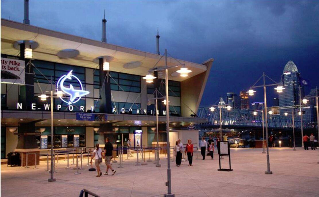 Photo of Others in Westwood