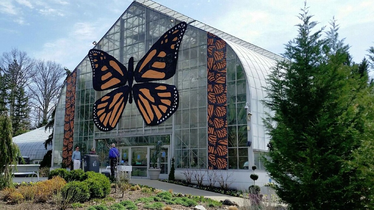 Photo of Others in Westwood