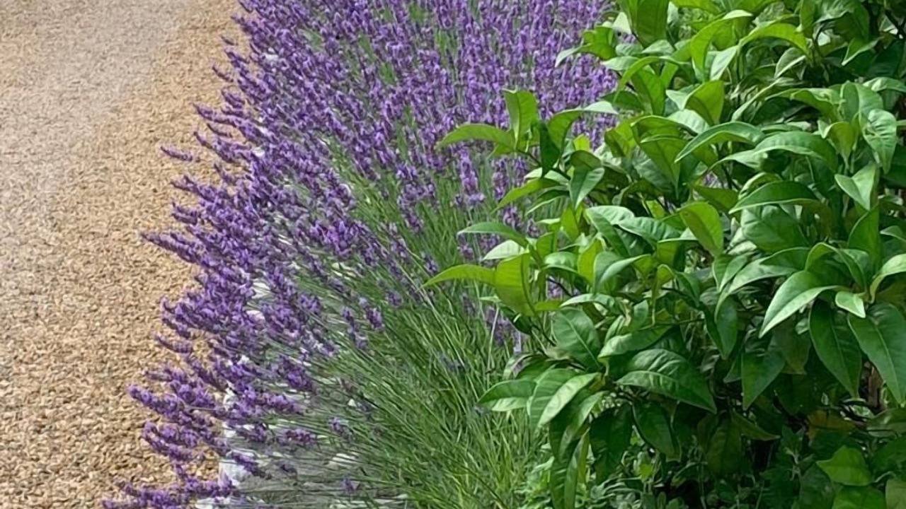 Photo of Outdoor in Les Maillans