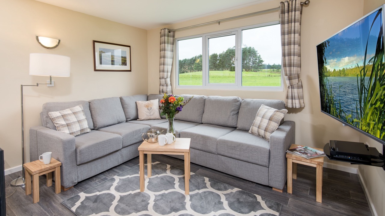 Photo of Livingroom in Bellingham