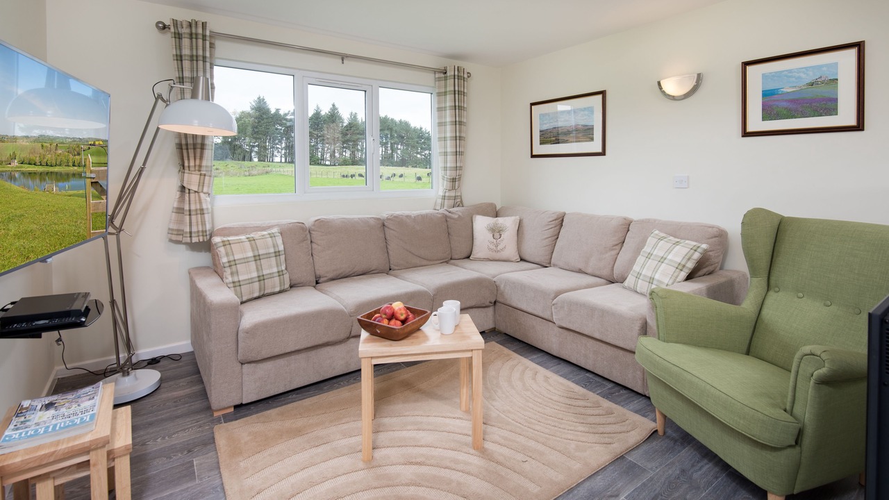 Photo of Livingroom in Bellingham