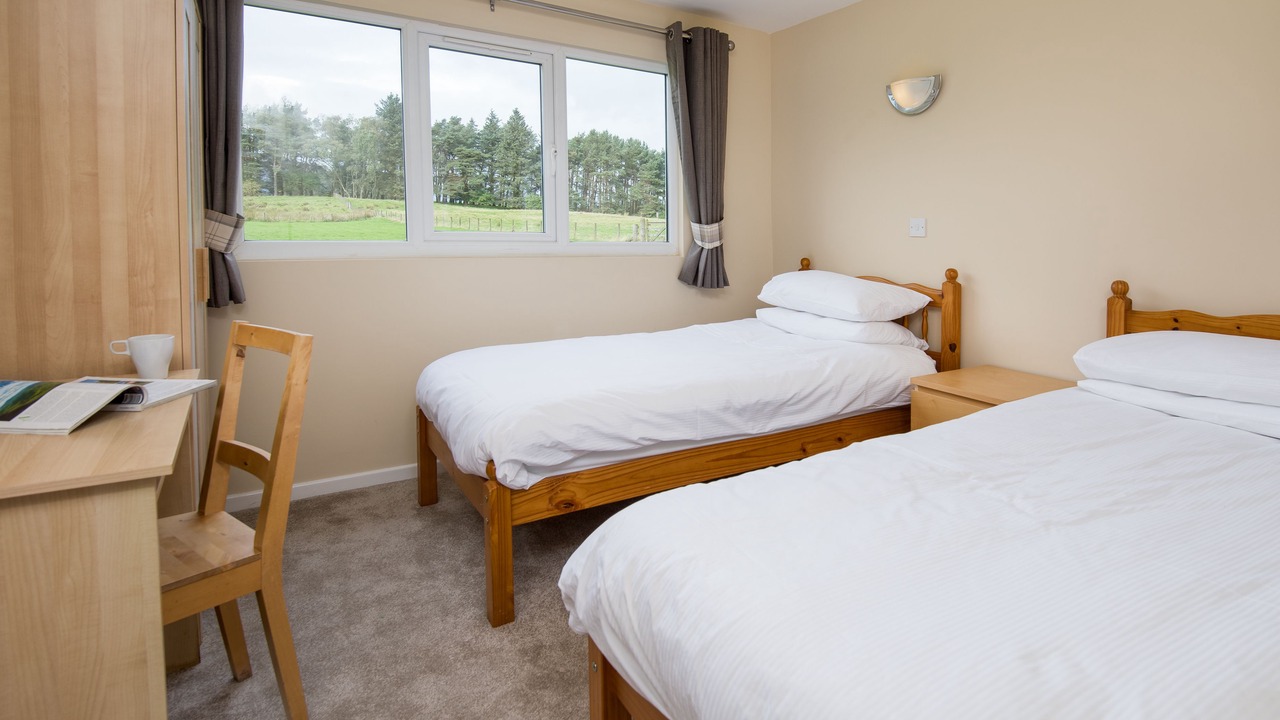 Photo of Bedroom in Bellingham