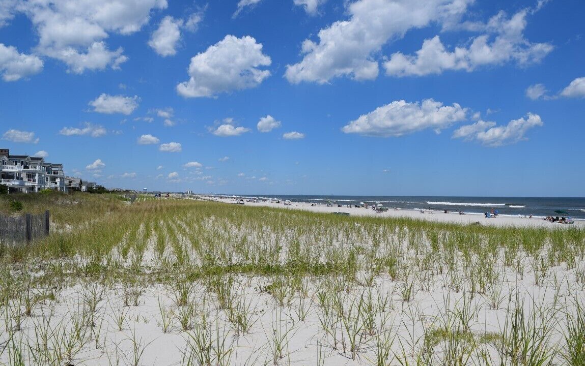 Photo of Others in Townsend's Inlet