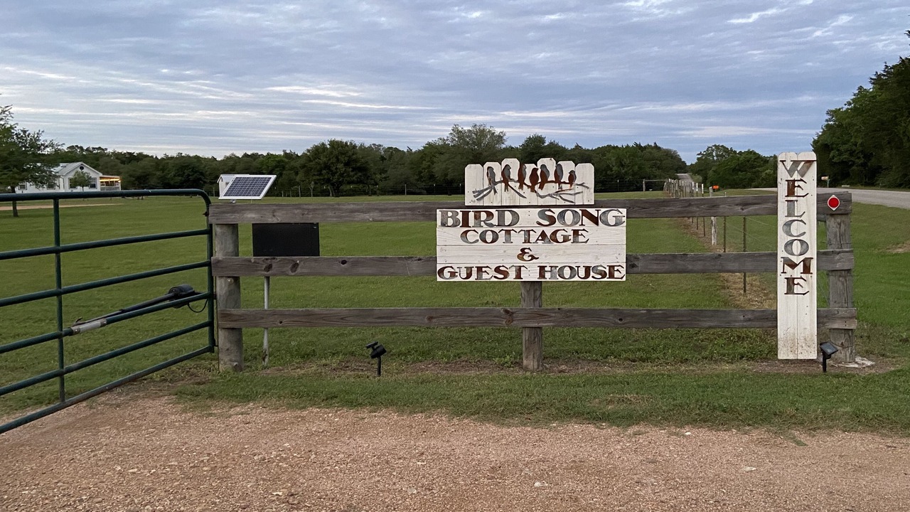 Photo of Outdoor in Burton