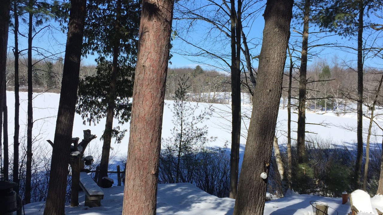 Photo of Outdoor in Mayfield