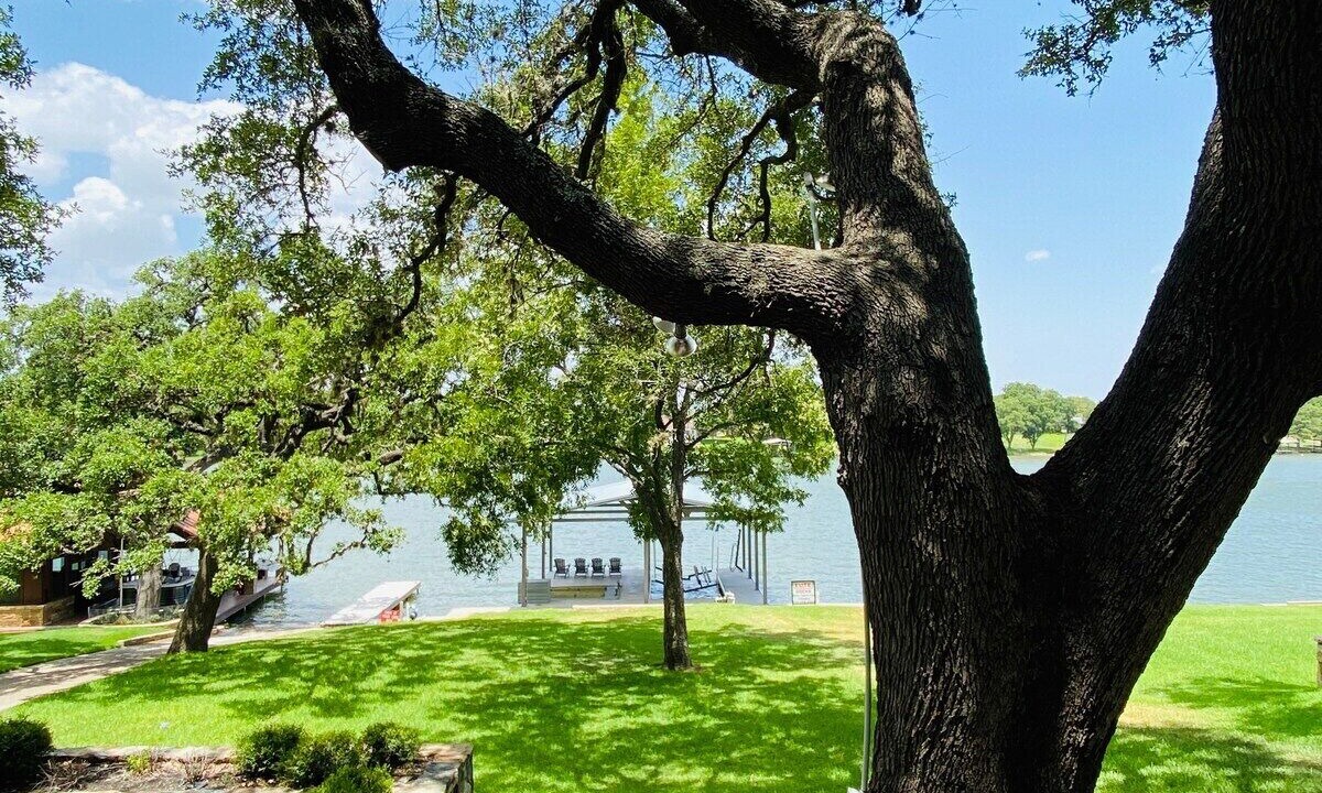 Photo of Outdoor in Kingsland