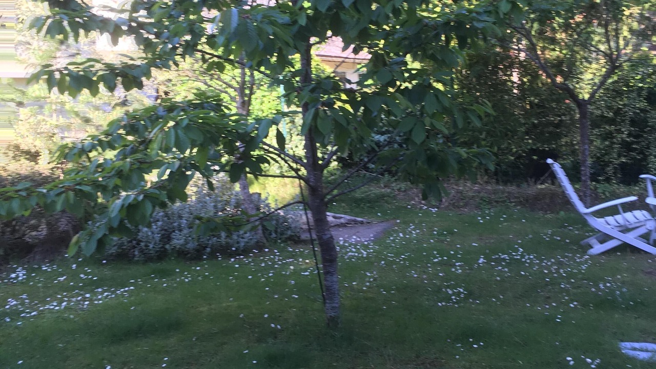 Photo of Outdoor in Saint-Fargeau-Ponthierry