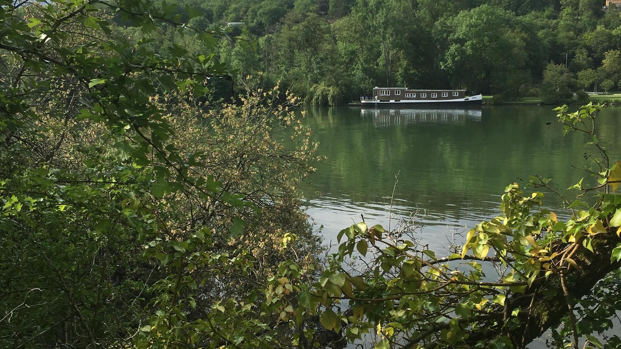 Photo of Others in Saint-Fargeau-Ponthierry