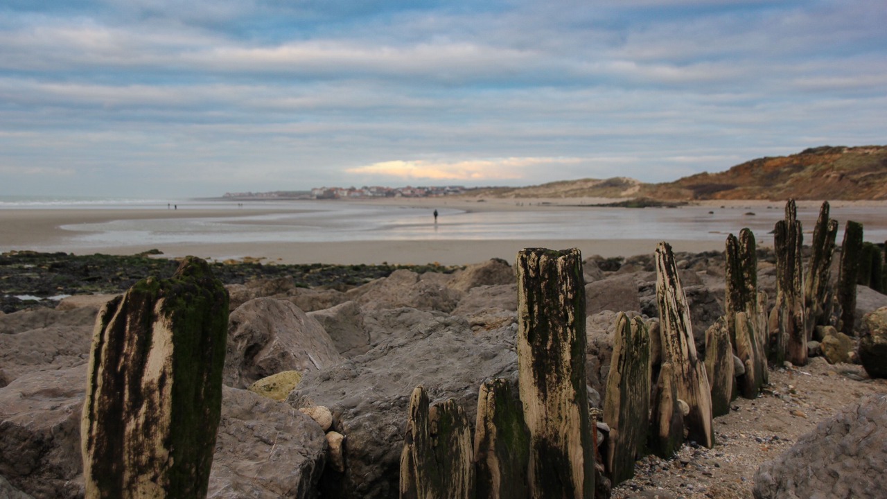 Photo of Others in Wimereux