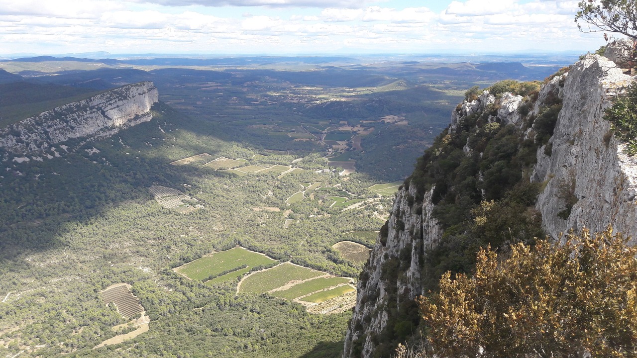 Photo of Others in Prades-le-Lez