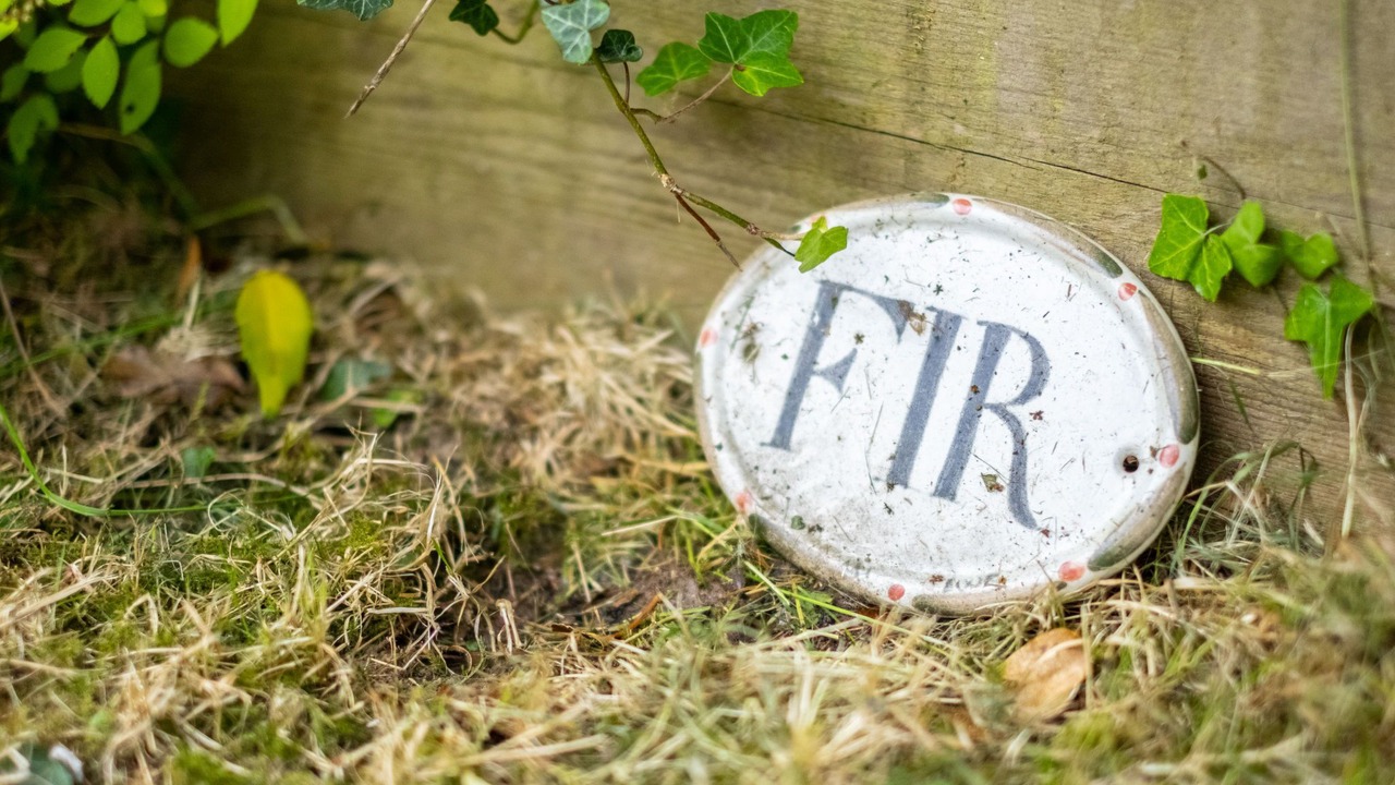 Photo of Others in Henfield