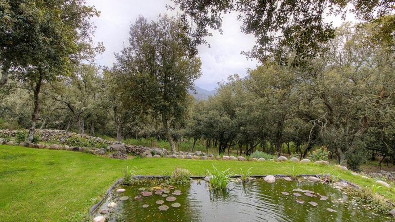 Photo of Outdoor in Moltifao