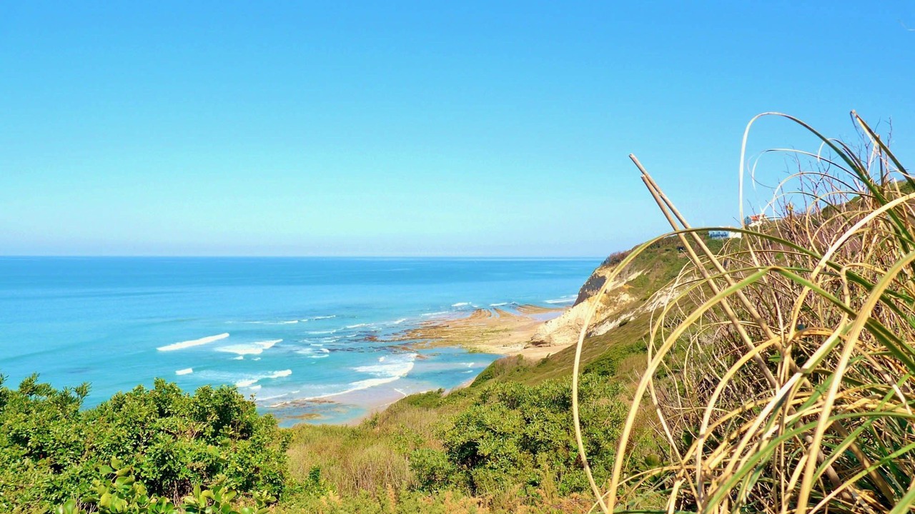 Photo of Others in Bidart