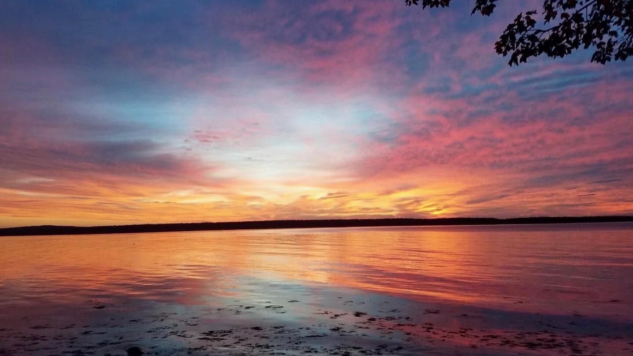 Photo of Others in Corea