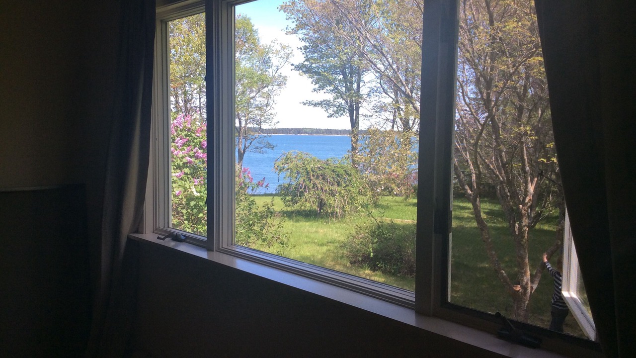 Photo of Others in Corea