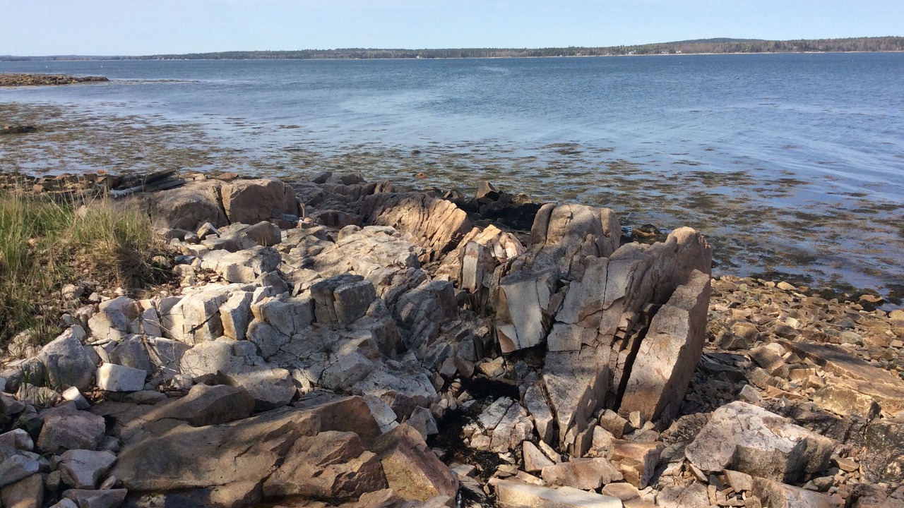 Photo of Others in Corea