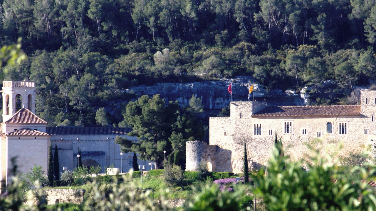 Photo of Others in San Martin Sarroca