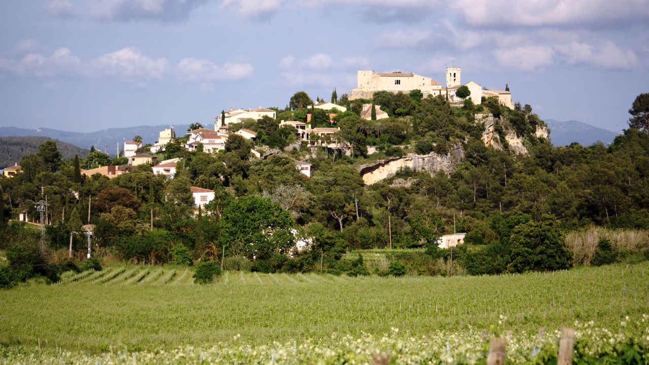 Photo of Others in San Martin Sarroca