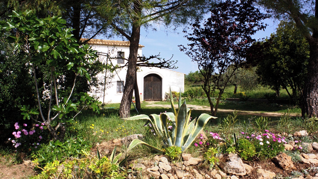 Photo of Outdoor in San Martin Sarroca