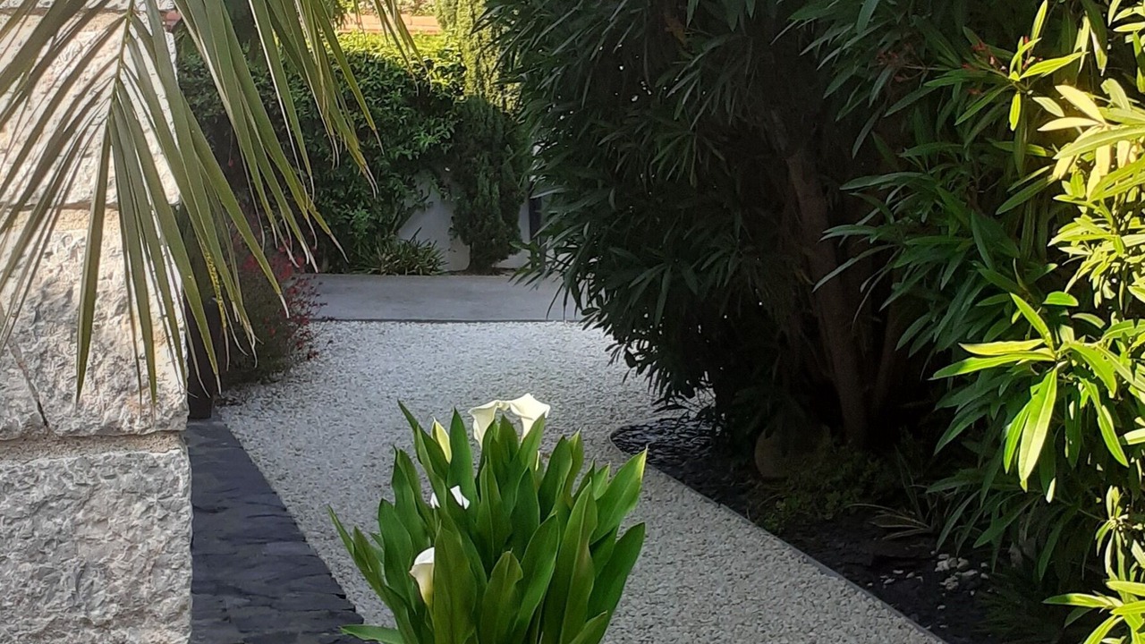 Photo of Outdoor in Saint-Cyprien Plage